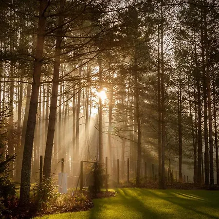 Lesna Strzecha Rotembark