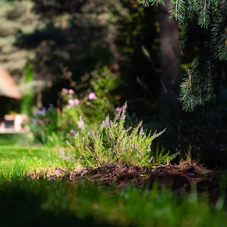 Lesna Strzecha דירה