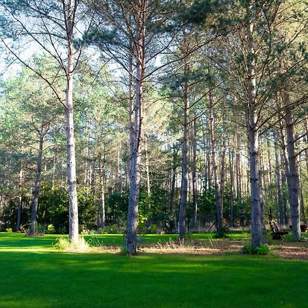 דירה Lesna Strzecha *