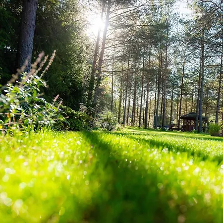 דירה Lesna Strzecha Rotembark