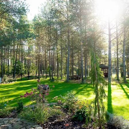 Lesna Strzecha דירה